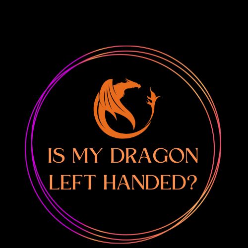Is My Dragon Left Handed logo orange dragon in a rainbow circle with black background